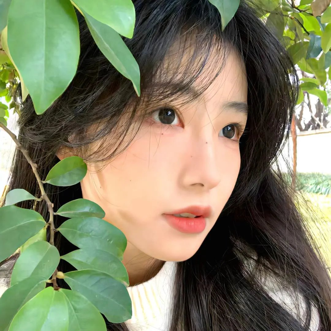 动物园先生